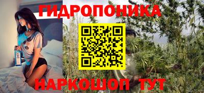 ешки Ставрополь