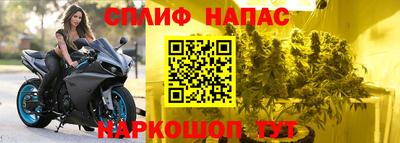 ешки Ставрополь